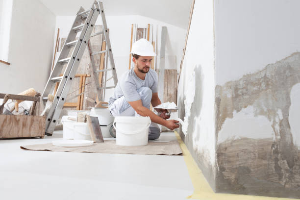 Best Interior Painting  in Alba, NY