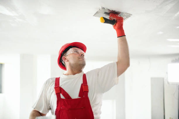 Best Repainting for Renovations  in Alba, NY